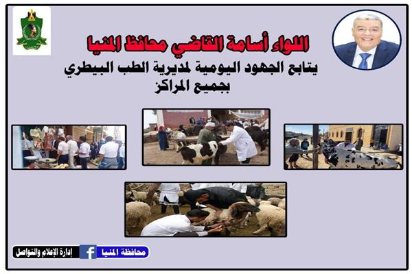 صورة موضوعية