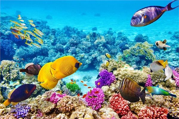 المحميات الطبيعية