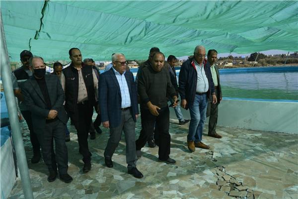 صورة موضوعية