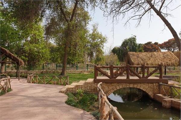 صورة من حديقة القناطر الخيرية 