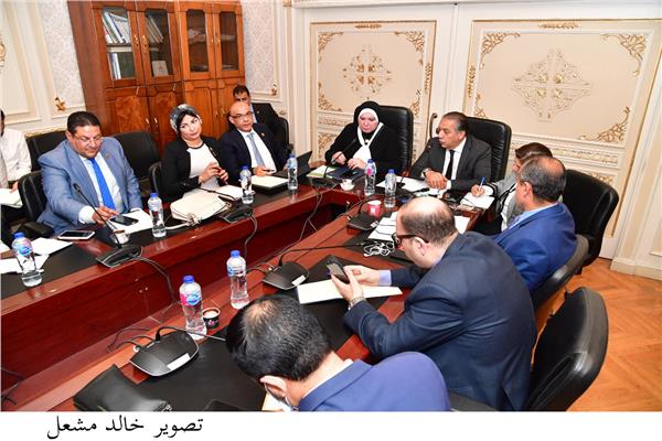 وزيرة التجارة والصناعة تستعرض مع اعضاء لجنة الشئون الافريقية بمجلس النواب