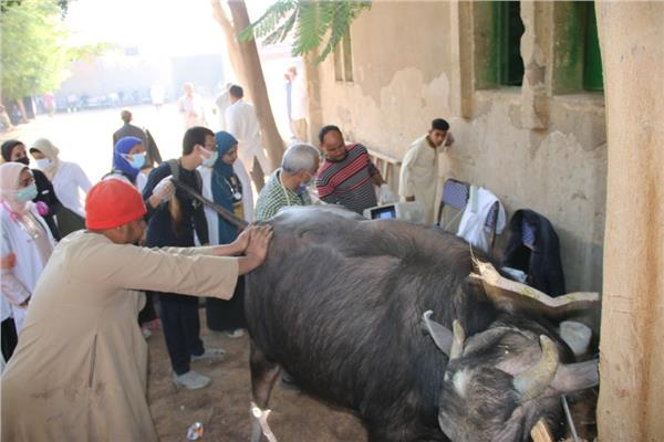 قافلة الجامعة البيطرية المجانية
