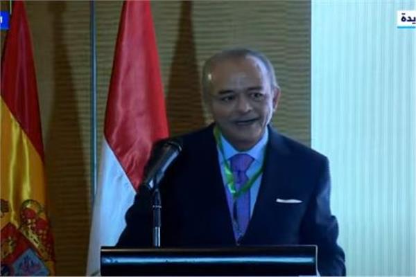 ماجد المنشاوي، رئيس مجلس الأعمال المصري الإسباني