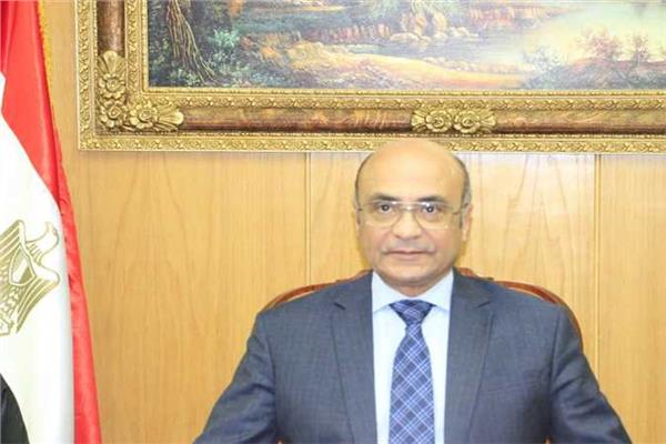 المستشار عمر مروان وزير العدل