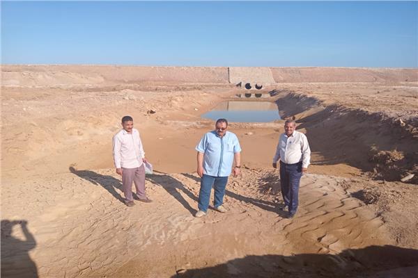 صورة موضوعية