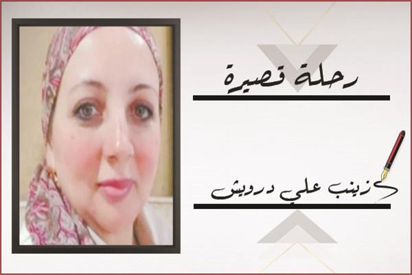 زينب على درويش