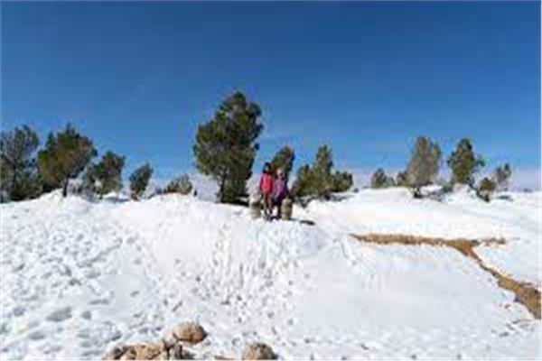 صورة ارشيفية