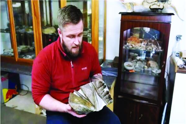 عظمة فك ديناصور جاب المحيطات