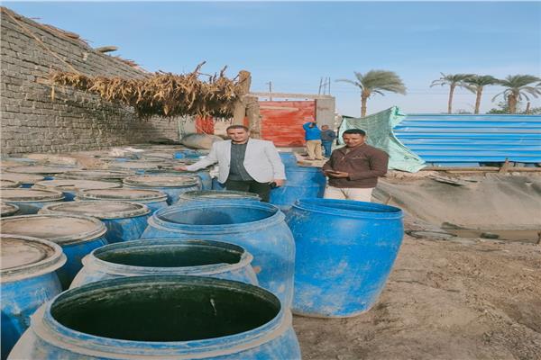 صورة موضوعية