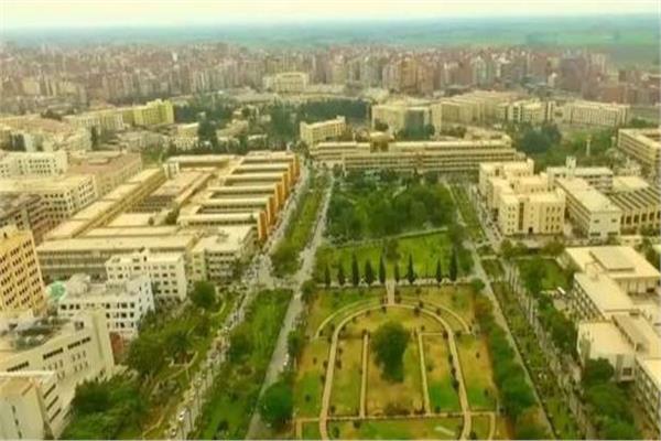 جامعة المنصورة