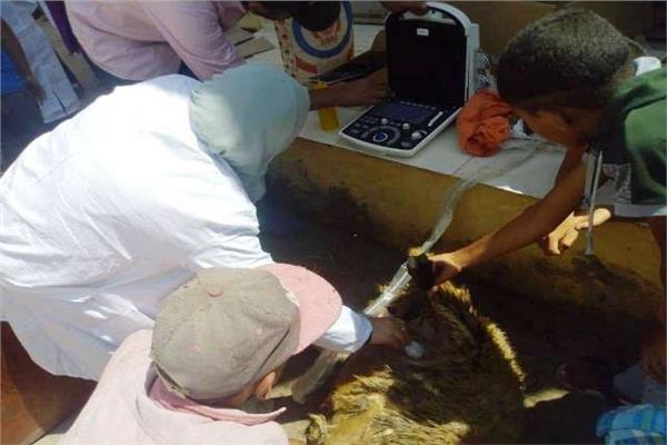صورة موضوعية