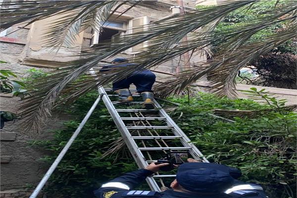 «أمن القاهرة» ينقذ عجوزًا محتجزة داخل شقة بقصر النيل 