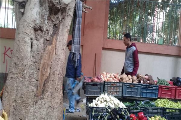 تمهيد شوارع غرب أسيوط الضيقة لتركيب الانترلوك ضمن خطة التطوير 