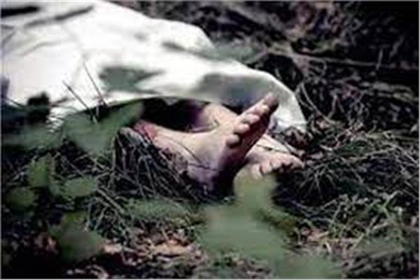 العثور على جثة مسن مشنوقًا وسط الزراعات بالقليوبية