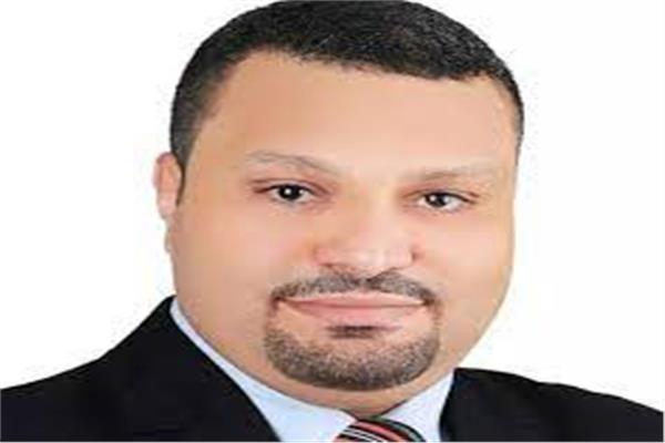 النائب أحمد قناوي، عضو مجلس الشيوخ