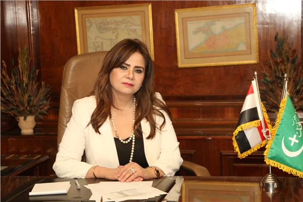 النائبة أمل رمزى