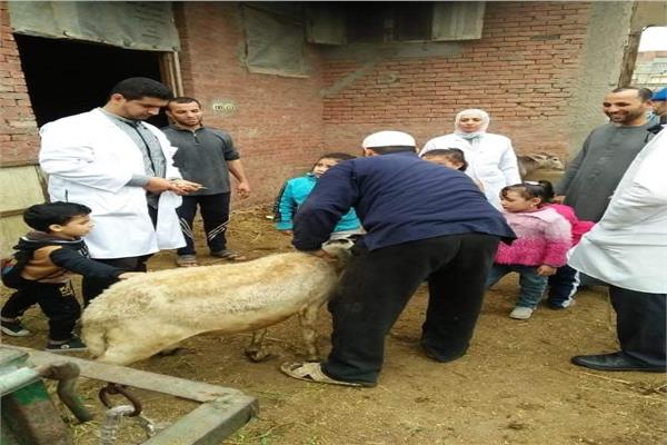 قافلة بيطرية من جامعة الزقازيق