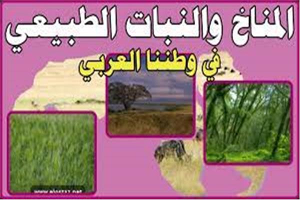 صورة موضوعية