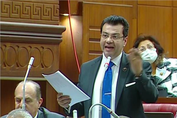 النائب إيهاب  زكريا عضو لجنة الشؤون الاقتصادية بمجلس الشيوخ 