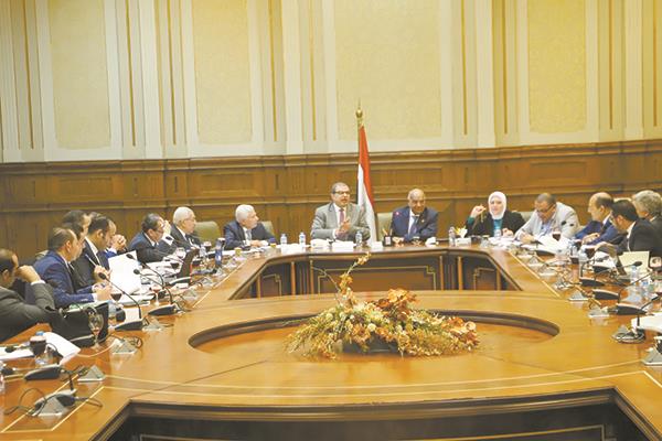 خلال اجتماع لجنة الطاقة والبيئة والقوى العاملة بمجلس الشيوخ