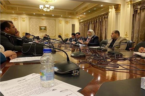 نائبة  المنوفية:  تقدم طلب إحاطة بشأن تثبيت عمال النظافة 