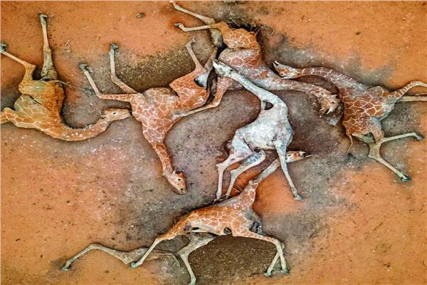 صورة تعبيرية