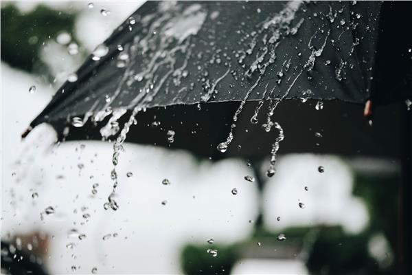 صورة موضوعية