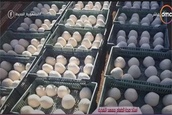 ضبط 37 طن جبن بينها 15 طنًا متعفنًا