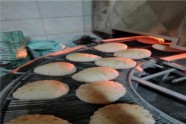 حملات تموينية بالدقهلية