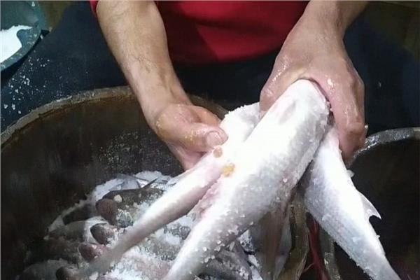 طريقة عمل الفسيخ