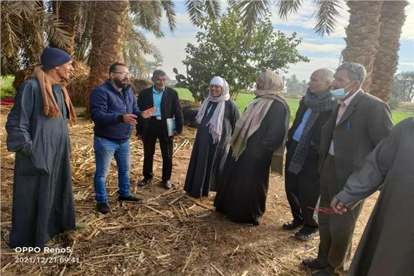  مدرسة حقليه لمزارعى النخيل
