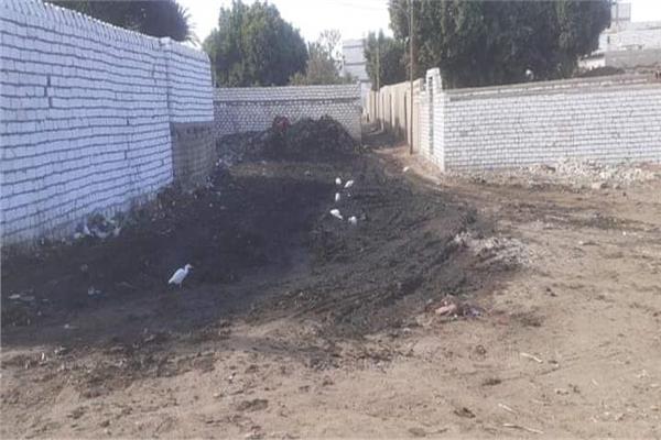 صورة موضوعية