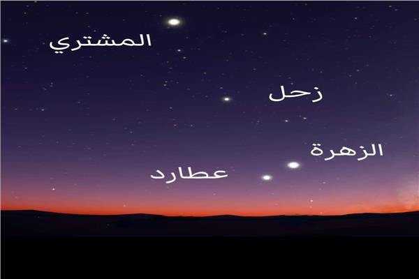 صورة موضوعية