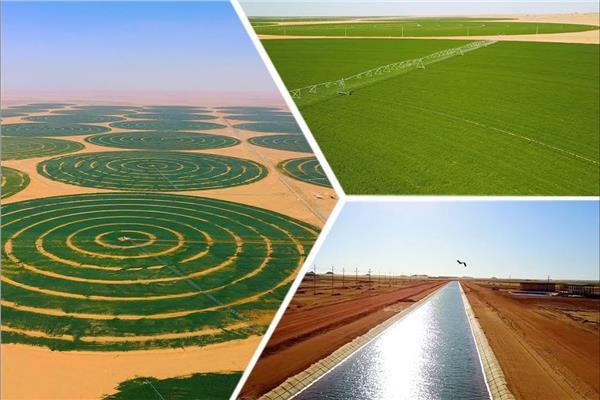 الرئيس السيسى يعطى قبلة الحياة لمشروع توشكى الخير بأسوان