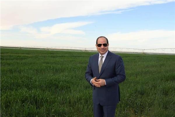السيسي يتصدر التريند.. ومغردون: عزيز مصر