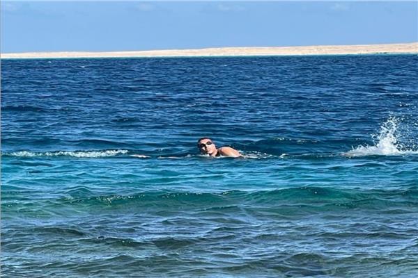 السباح احمد اسامة