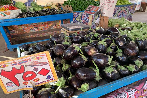 الغرفة التجارية تعلن الأسعار الاسترشادية للخضر والفاكهة بالإسماعيلية 