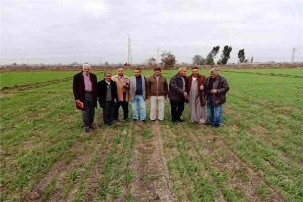 صورة موضوعية