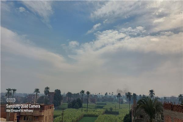 صورة موضوعية