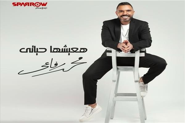 محمد رفاعى 