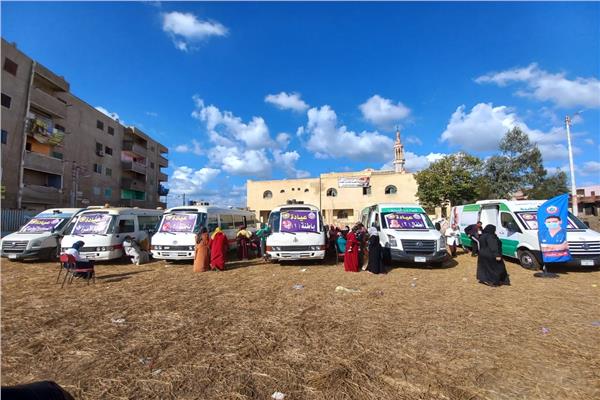 صورة موضوعية