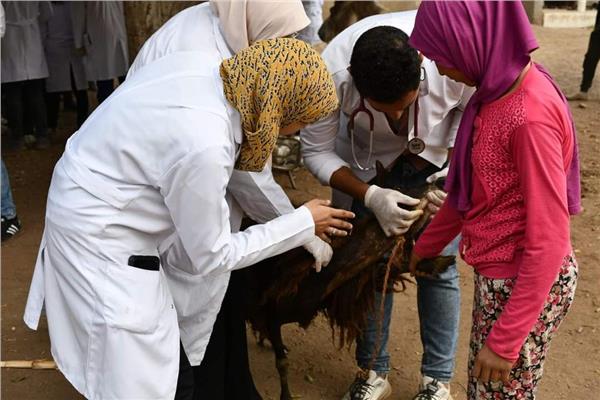 صورة موضوعية