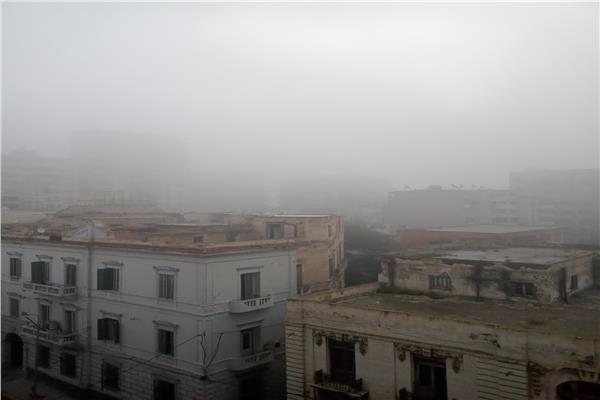 صورة موضوعية