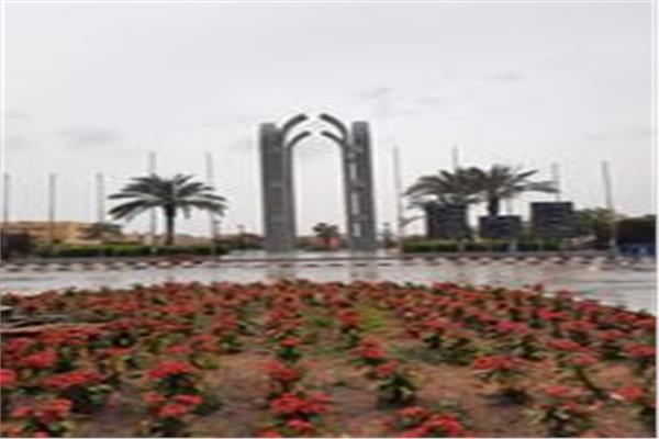 ورشة عمل بكلية الخدمة الاجتماعية جامعة حلوان 