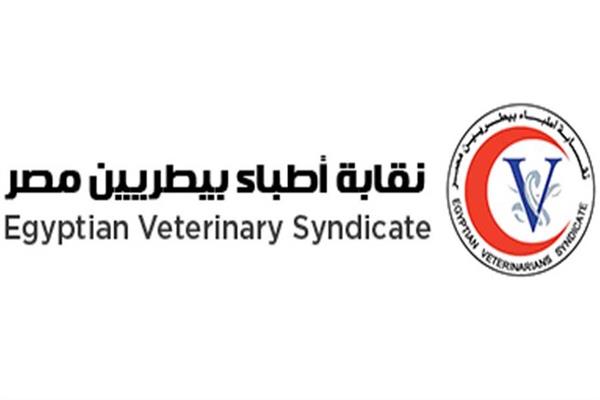 صورة موضوعية
