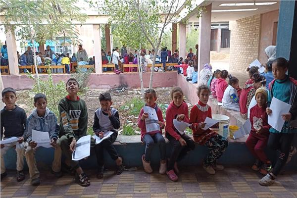 الهيئة العامة لقصور الثقافة 