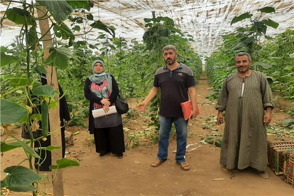 صورة موضوعية