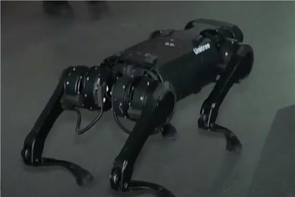 روبوت