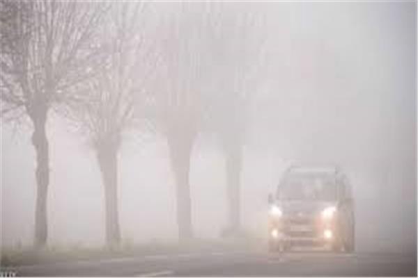 صورة موضوعية 