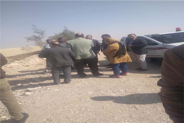 صورة موضوعية